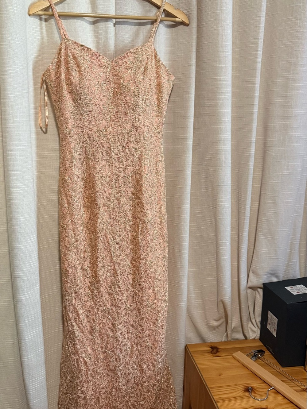 Vintage La Femme Blush Pink Lace Maxi Slip Dress